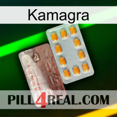 Kamagra new13